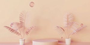 a group of small white bowls with pink flowers in them